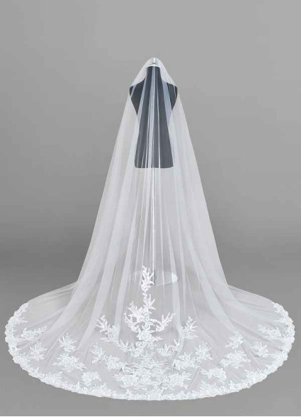 Skolw Charity Veil
